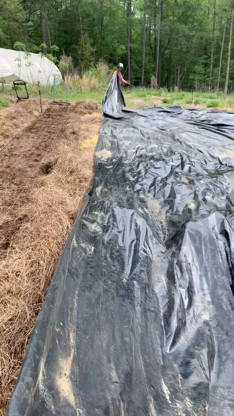 Pre-Warm Garden Soil