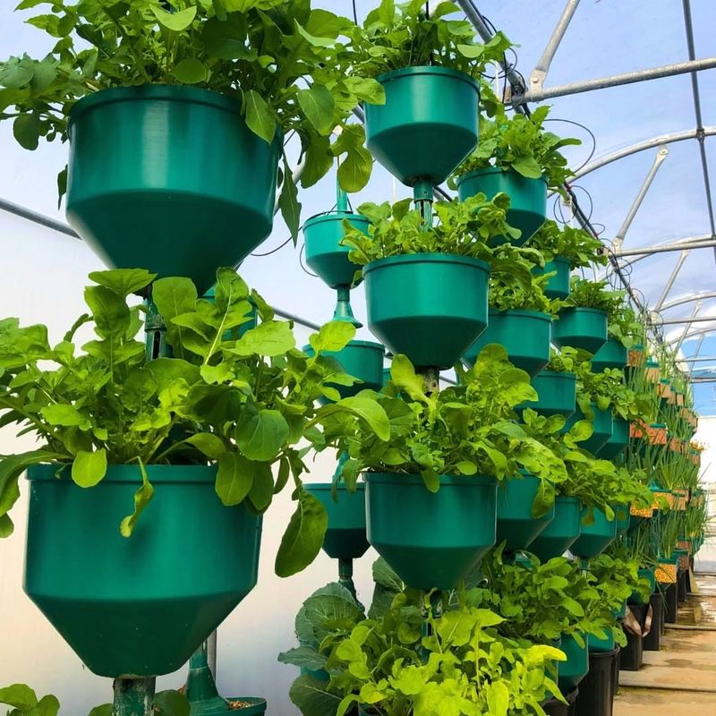 Optimize Your Growing Space