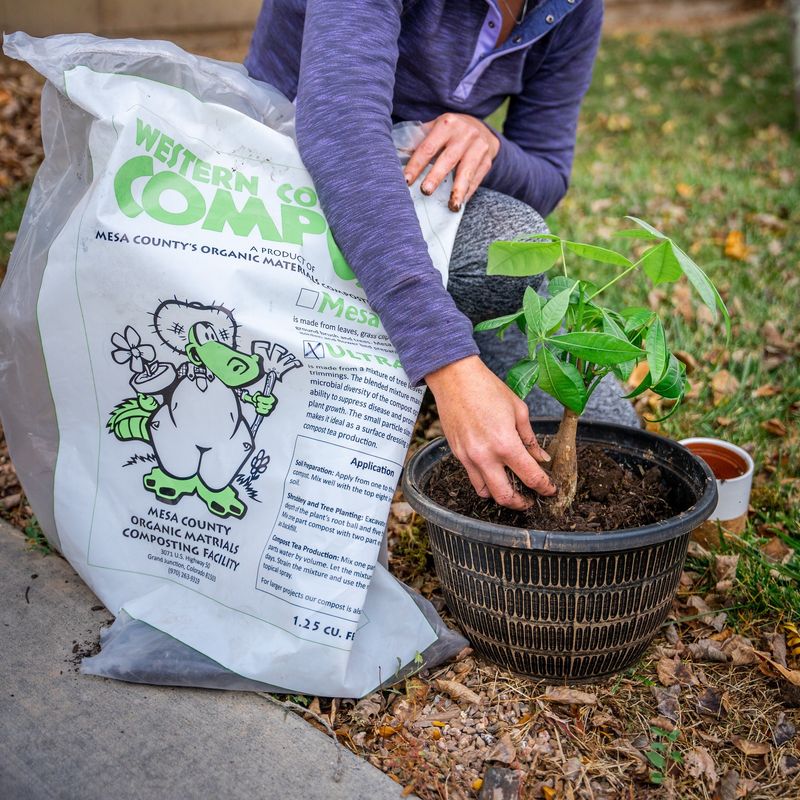 Add Organic Matter To Soil