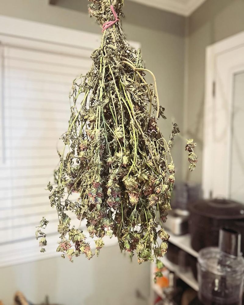 Hang Herbs Upside Down