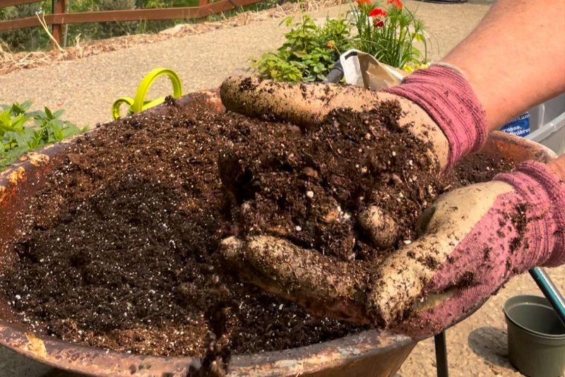 Start With Quality Soil