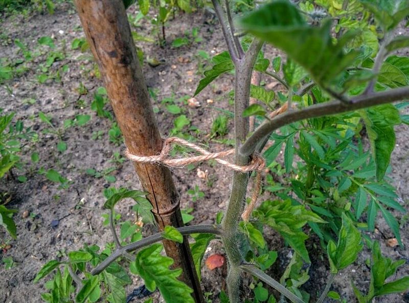 Master the Figure-Eight Technique