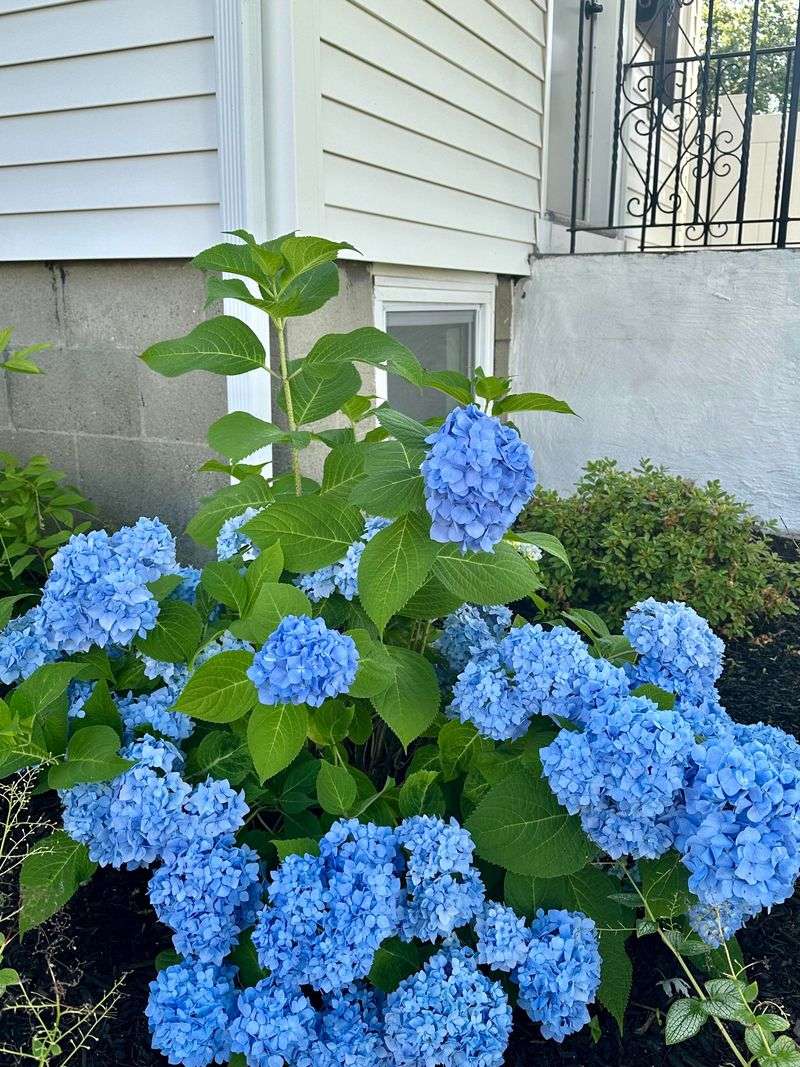 Master the Soil Secrets