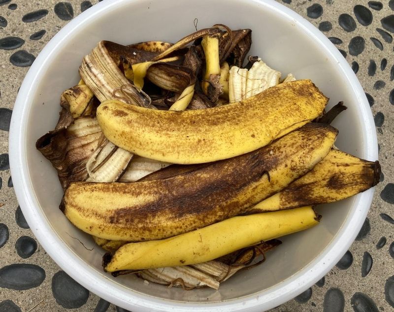 Banana Peel Fertilizer Spikes
