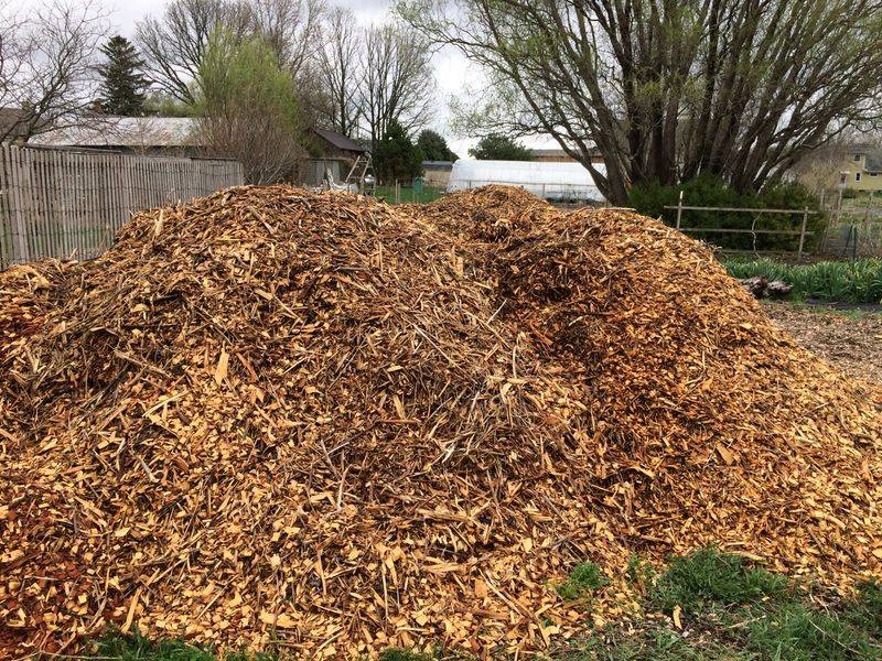 Aged Hardwood Chips