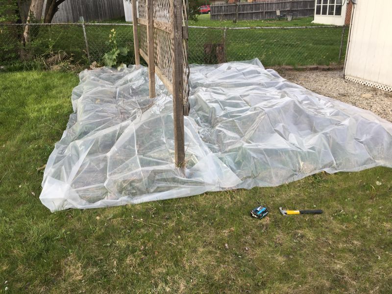 Plastic Sheet Solarization
