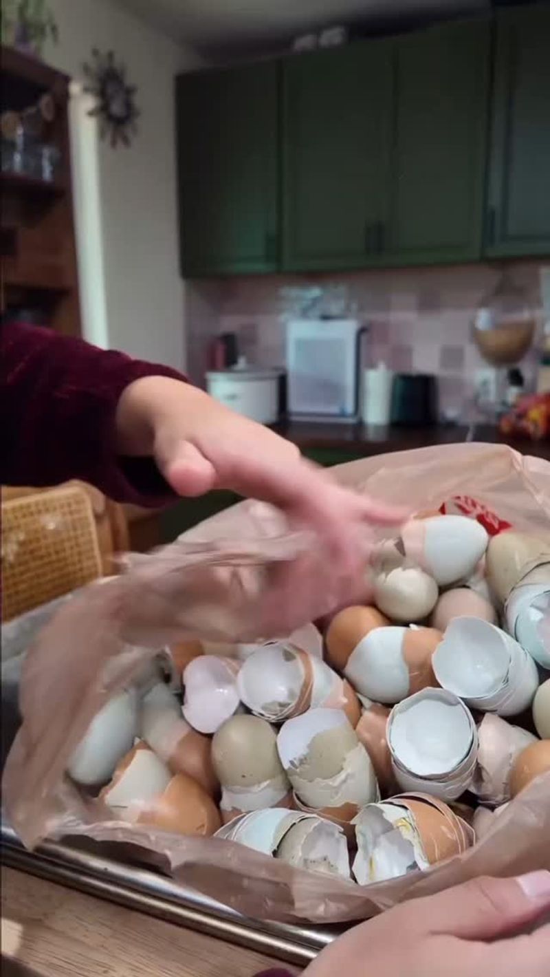 Eggshell Calcium Boost