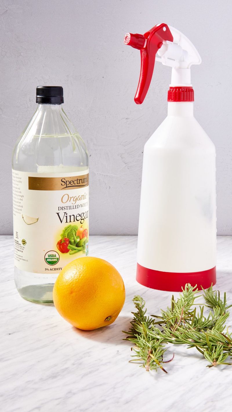 Vinegar