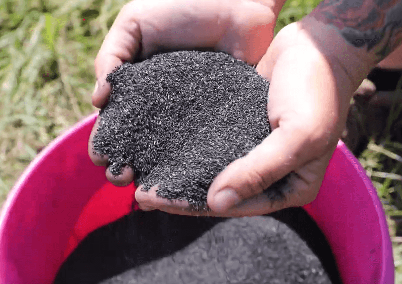 Biochar