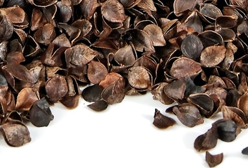 Buckwheat Hulls