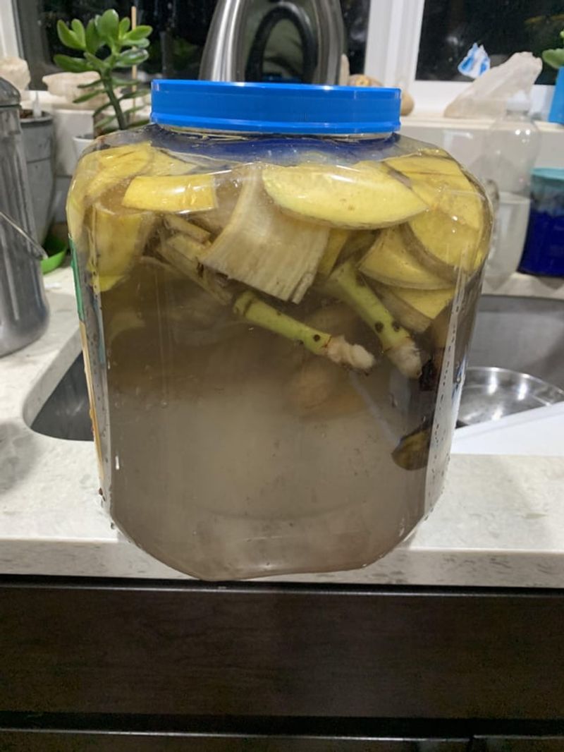 Banana Peels