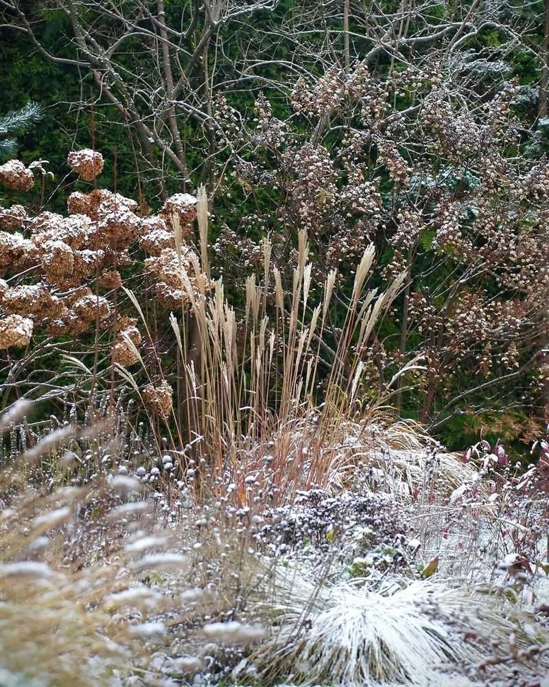 Embrace Seasonal Changes