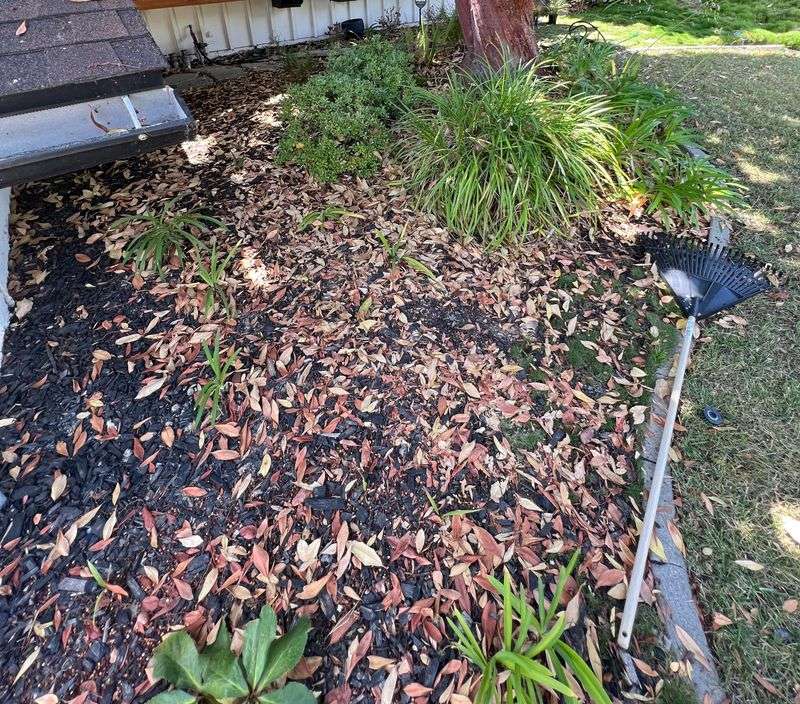 Clean Up Fallen Debris