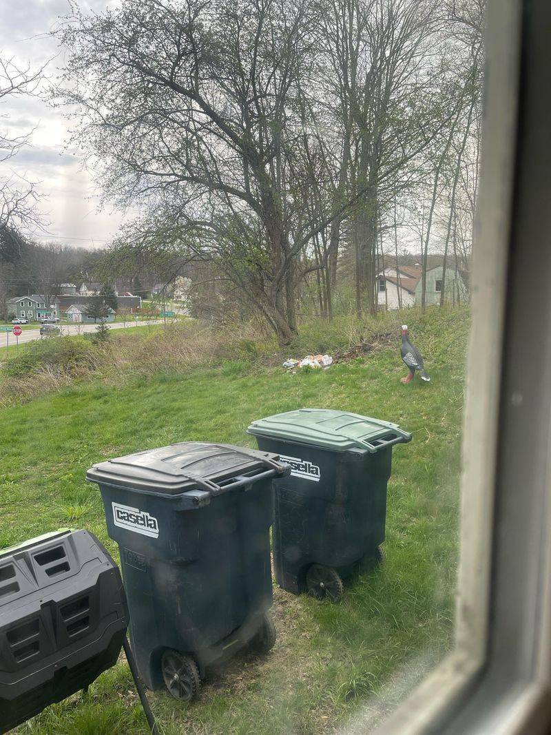 Secure Your Trash Properly