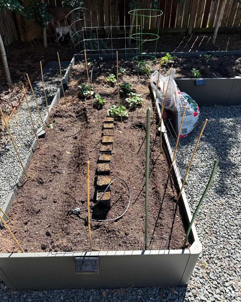 Soil Compaction