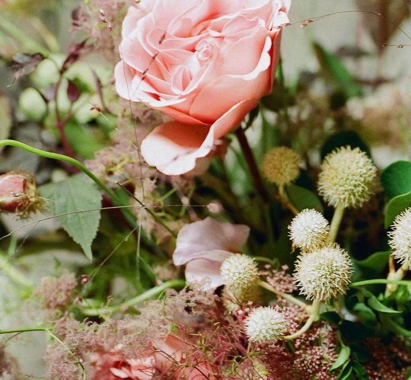 Foliage Misting Creates Temporary Cooling
