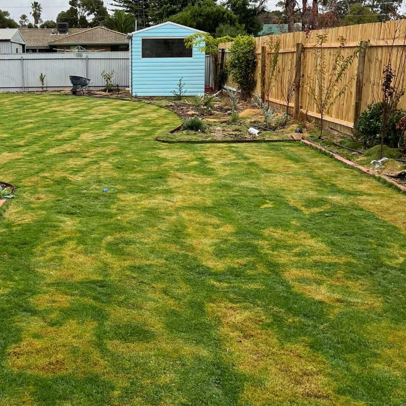 Stresses Healthy Surrounding Grass