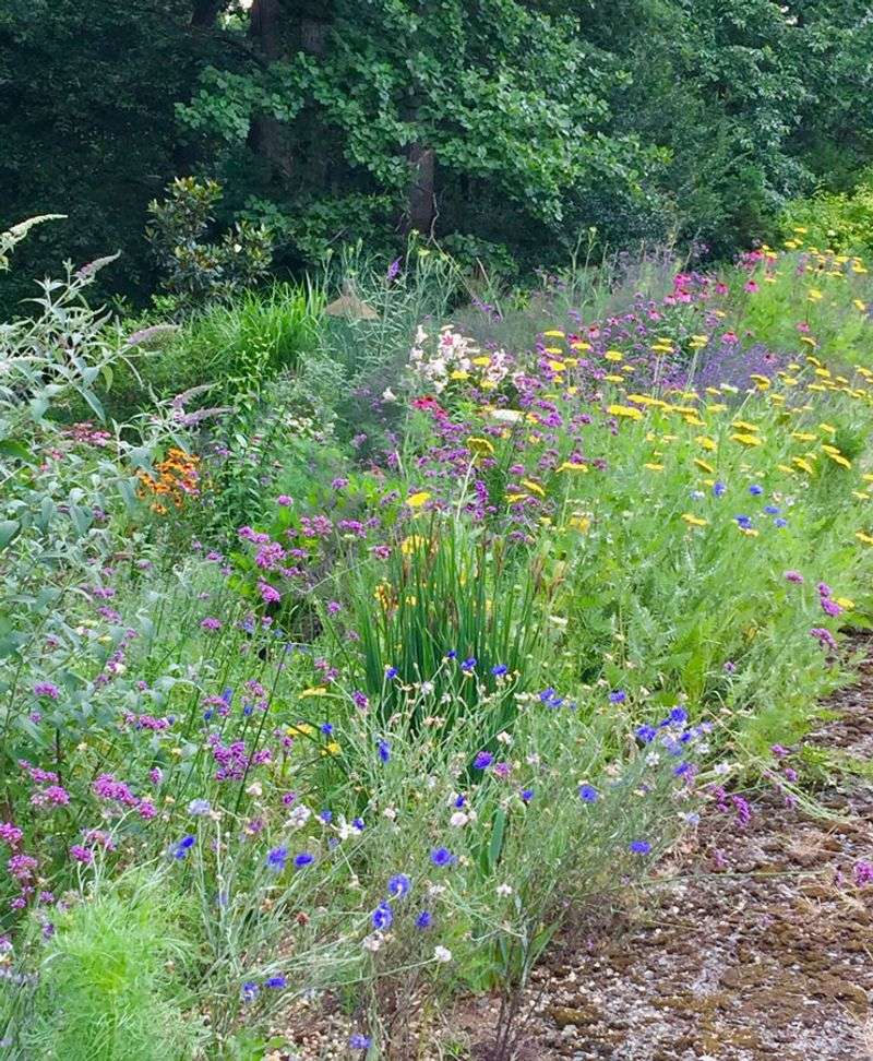 Weed Seed Consumption