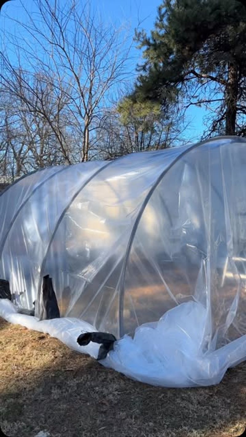 Temporary Greenhouse Windows