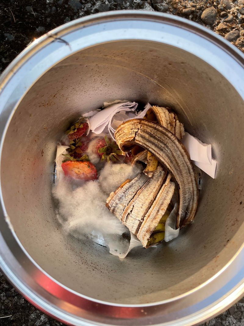 Freeze Scraps Until You Feel Like Composting