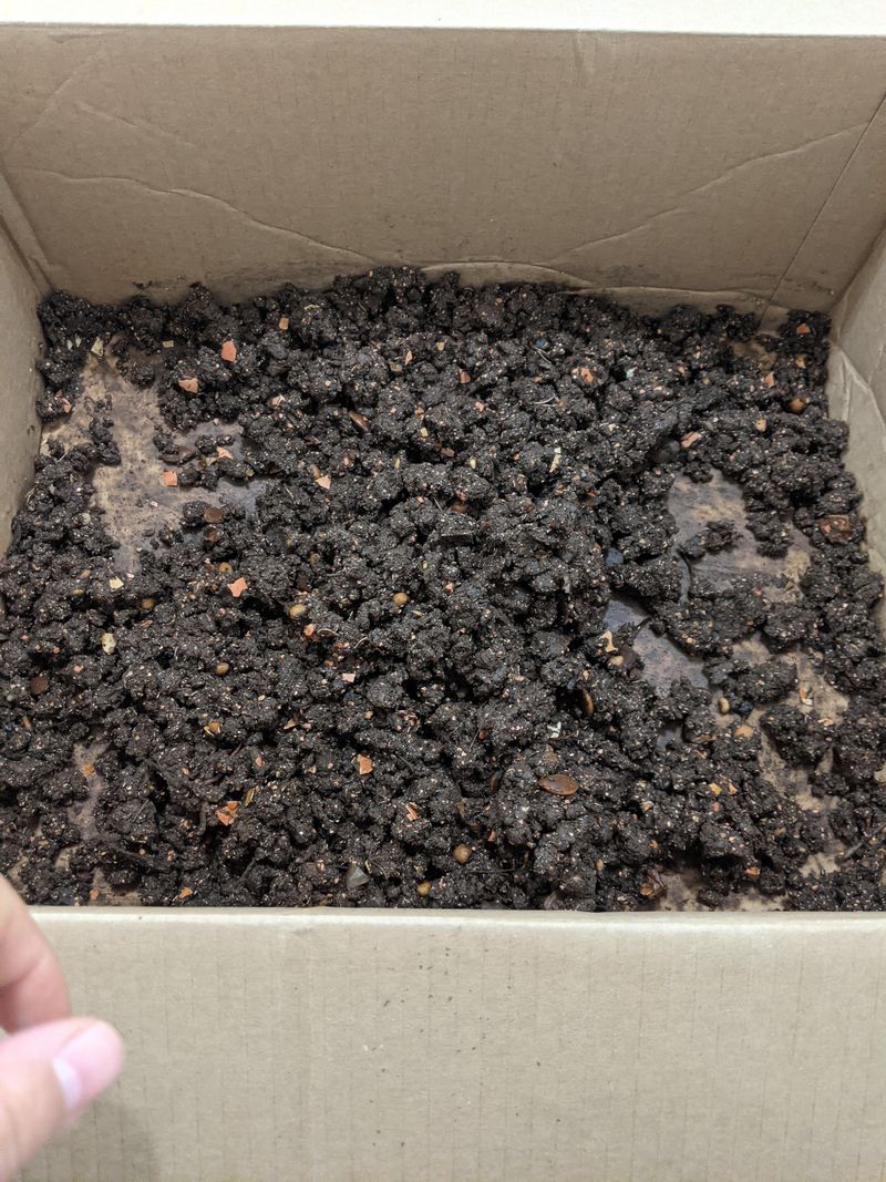 Worm Castings
