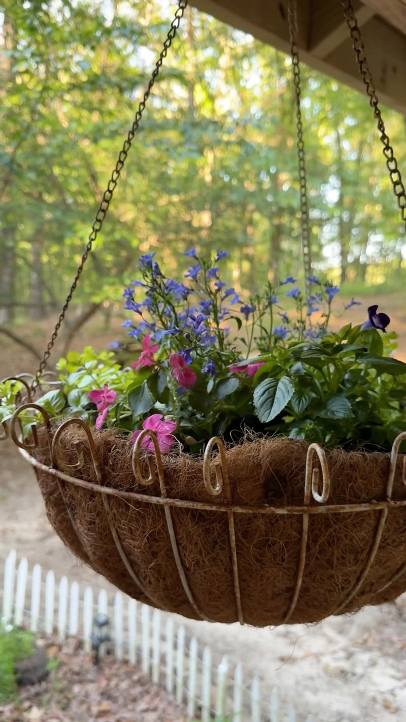 Hanging Plant Brackets