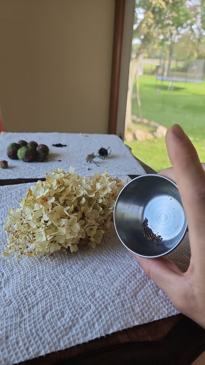 Natural Seed Propagation