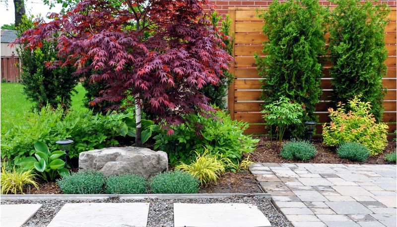 Underplanting With Shade Lovers