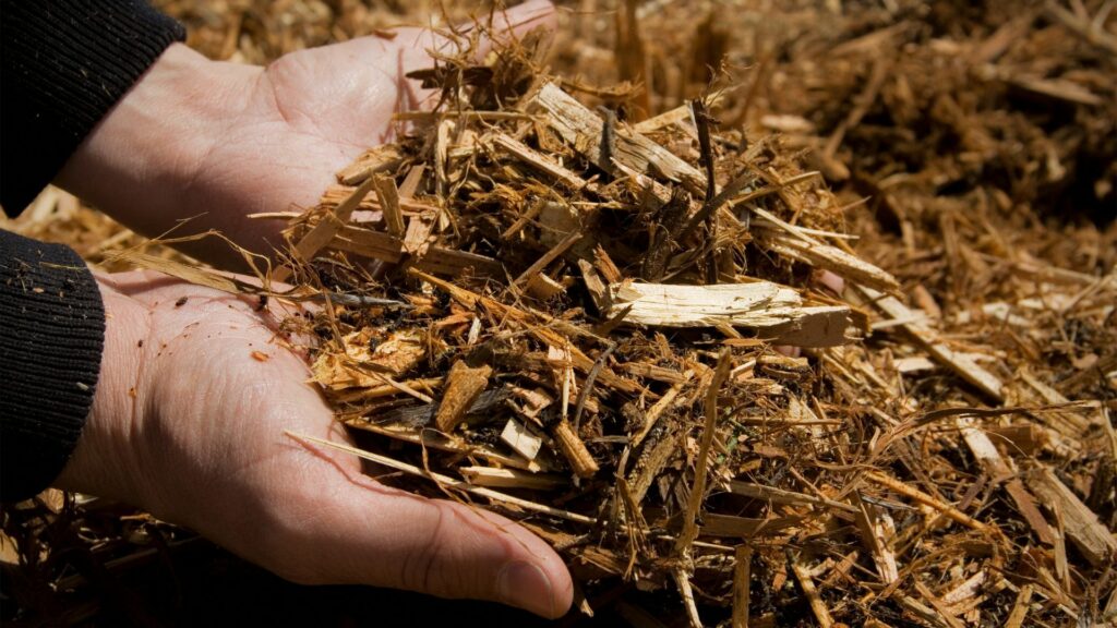 mulch