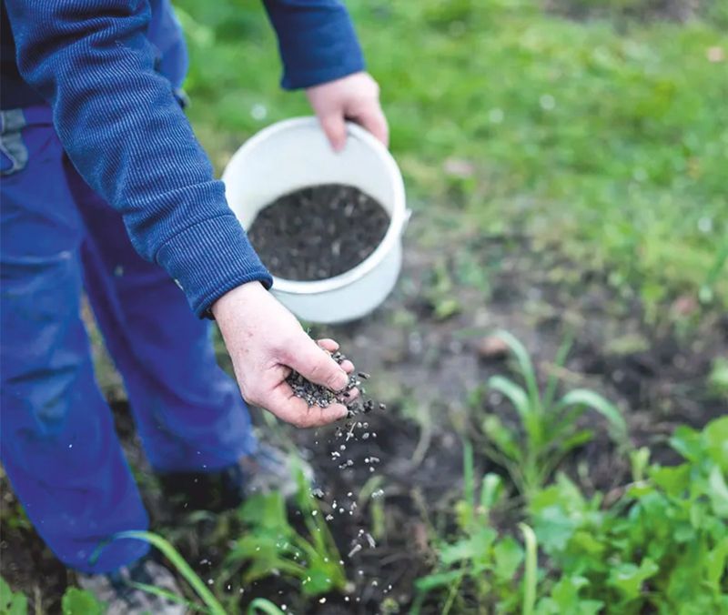 Fertilizer Runoff Polluting Nearby Plants
