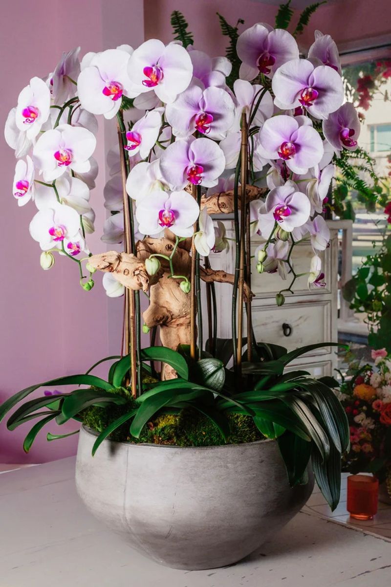 Build A Centerpiece Moment