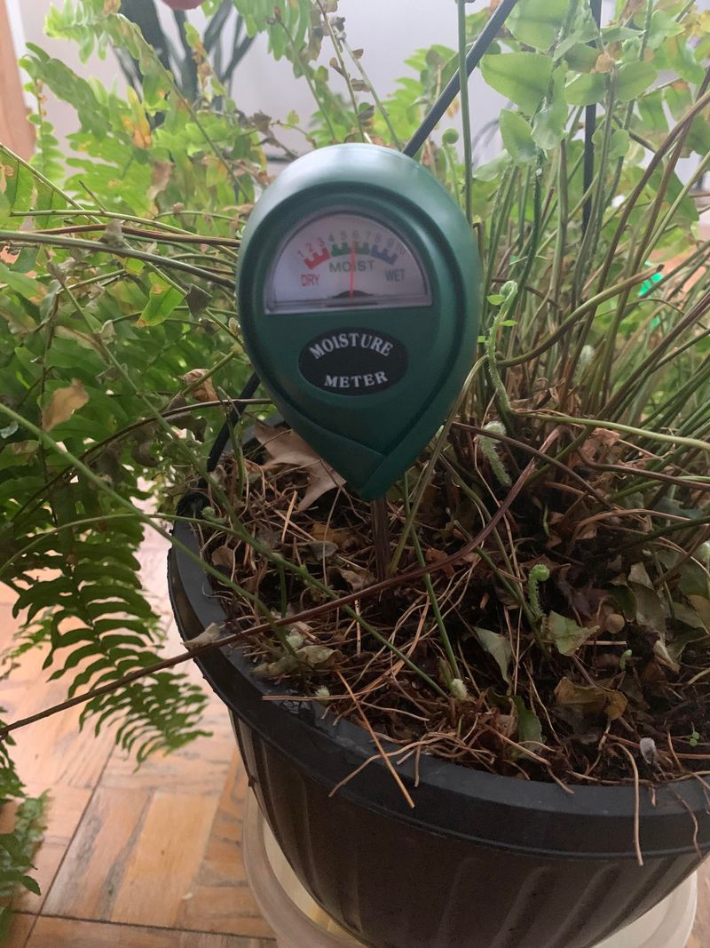 Manage Humidity Levels
