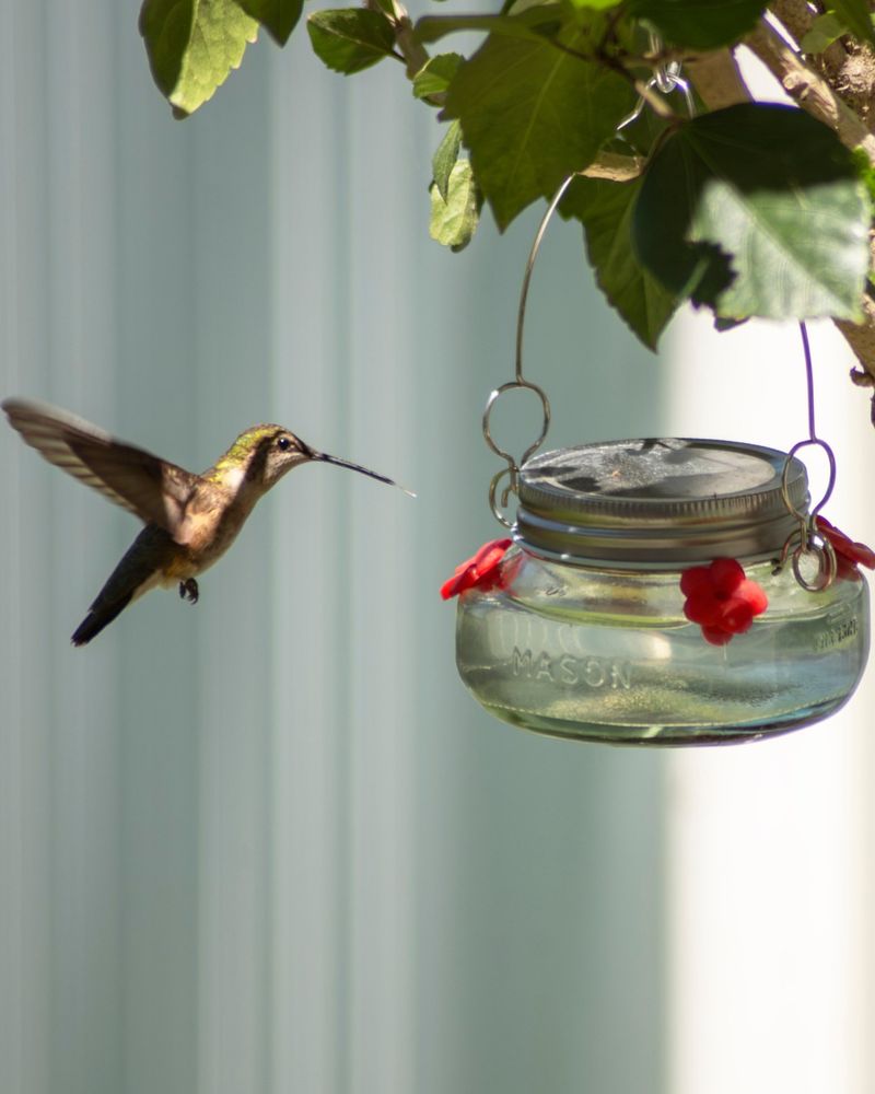 Mason Jar Seed Station