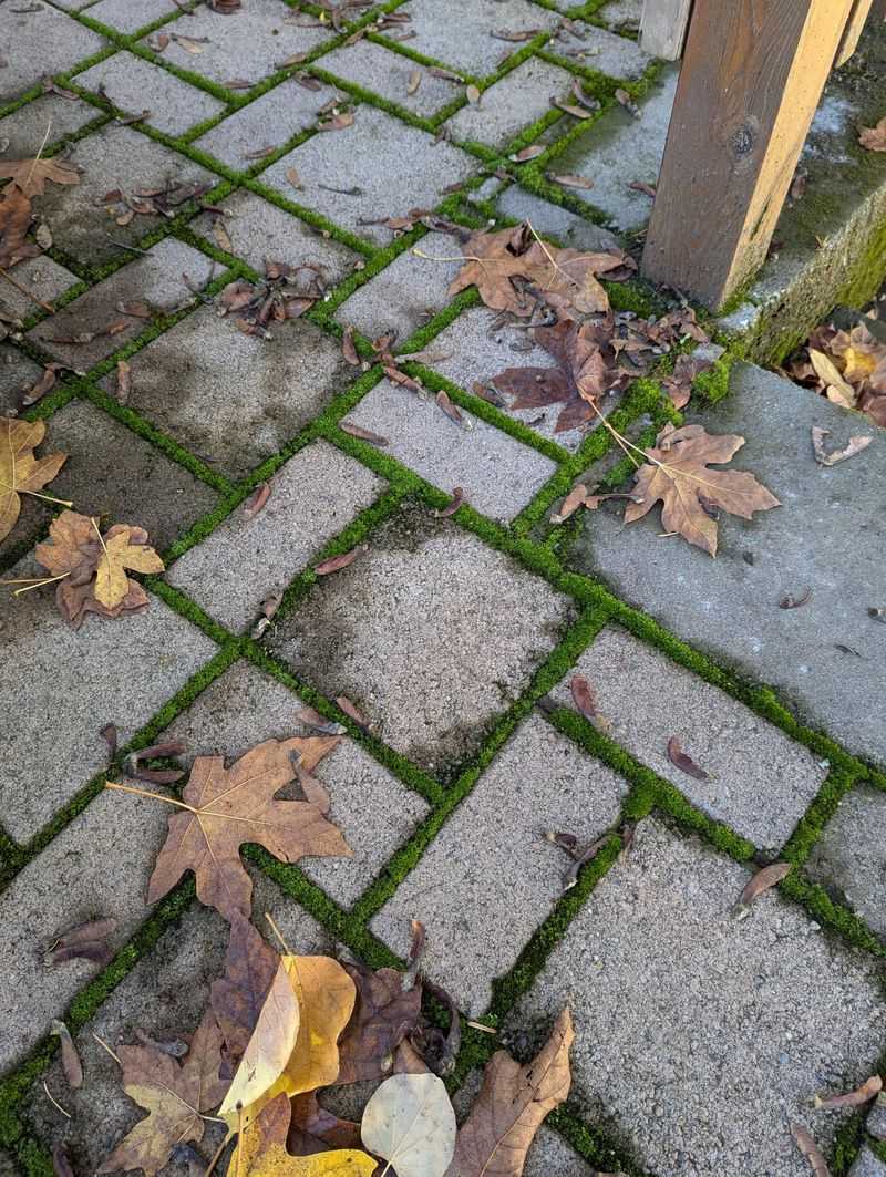Regular Sweeping Routine