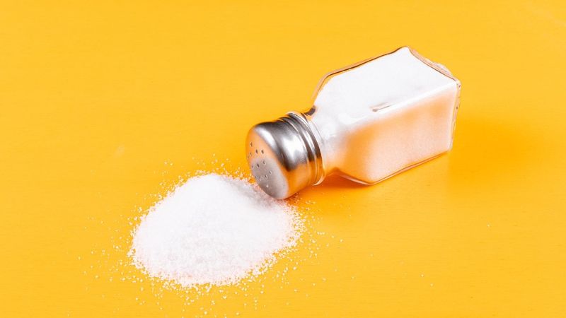 Salt: Common Pantry Ant Deterrent