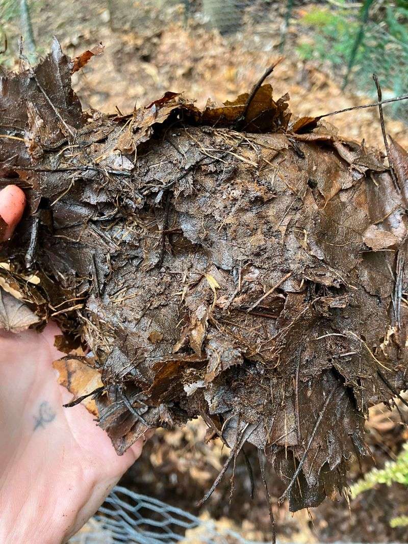 Leaf Mold Application