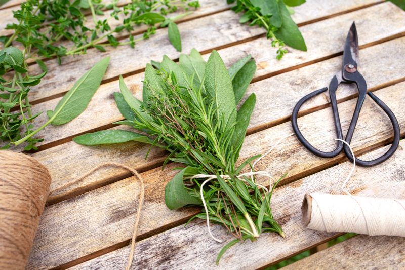 Hang Herb Bundles