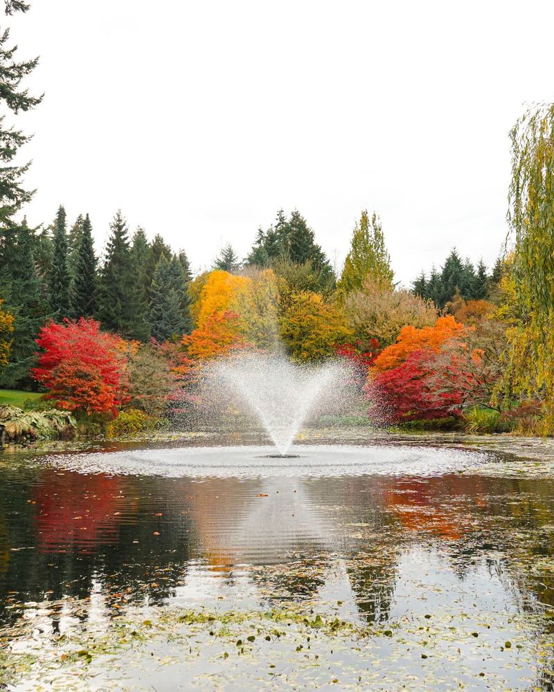 Pair With Water Features