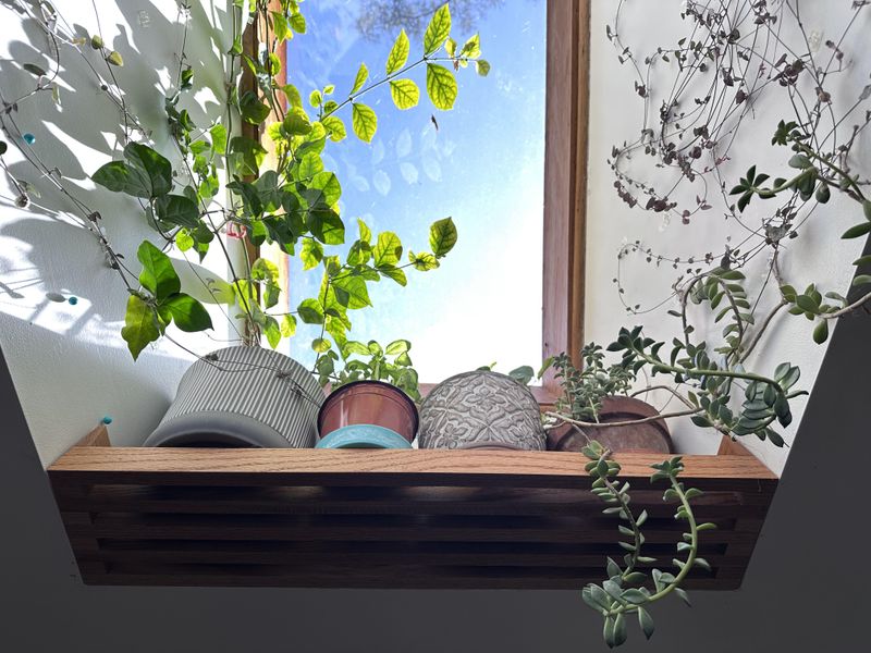 Frame A Window