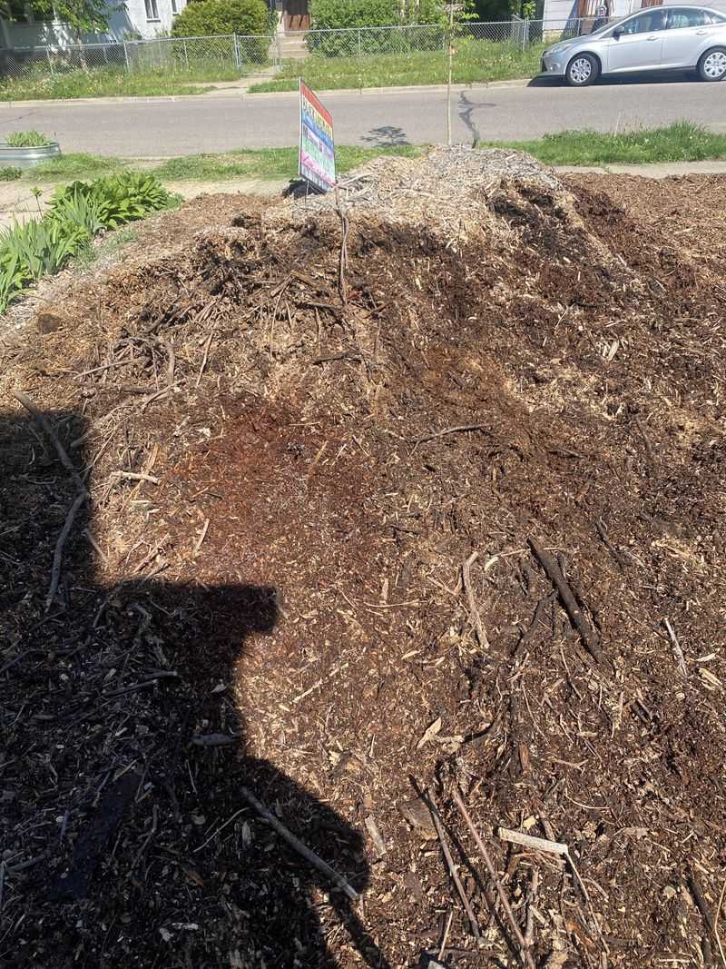 Use Mulch As A Partner