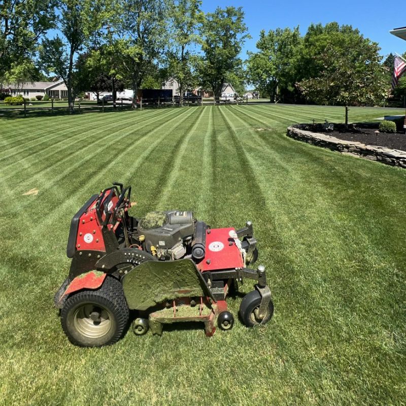 Establish A Regular Mowing Schedule