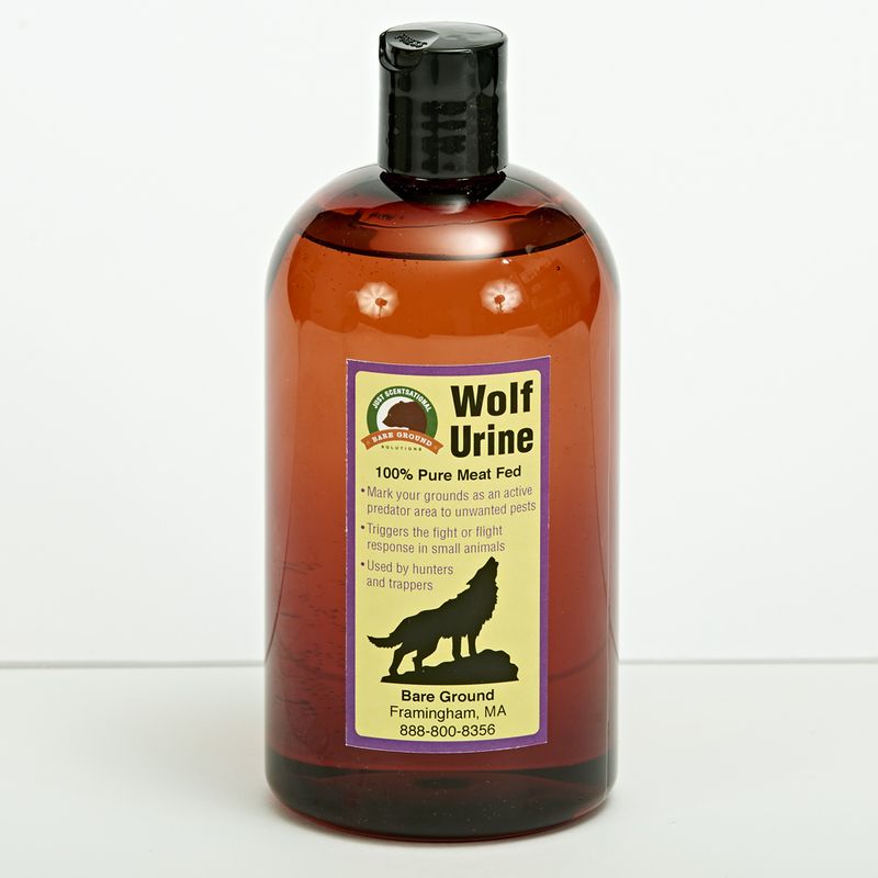 Apply Natural Repellent Strategies