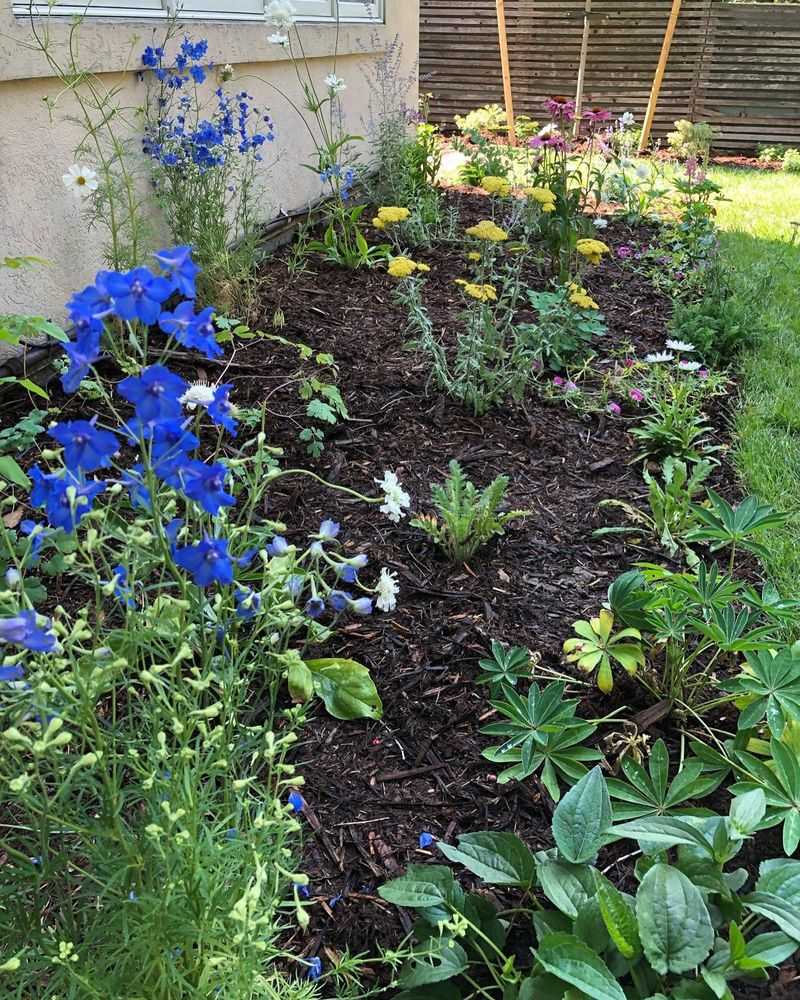 Reduce Lawn Area
