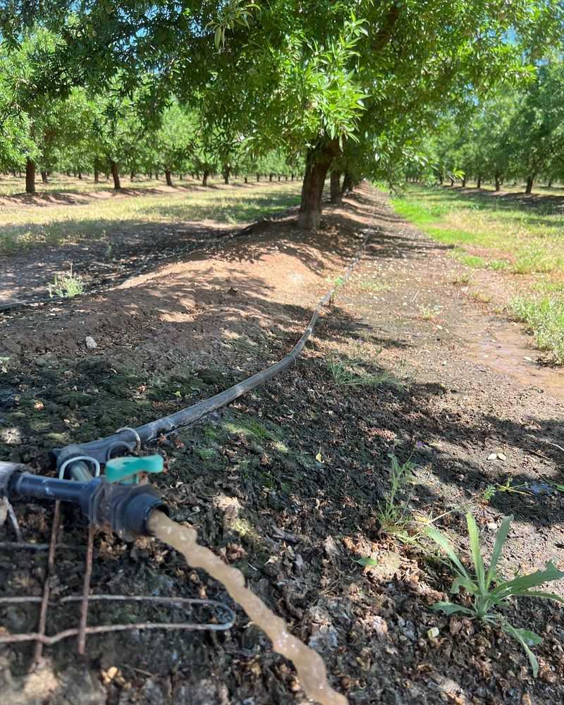 Check Irrigation Systems