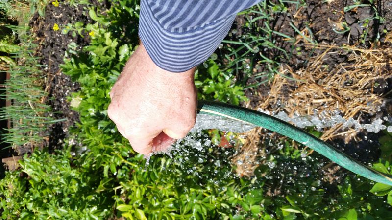 Flood Active Burrows