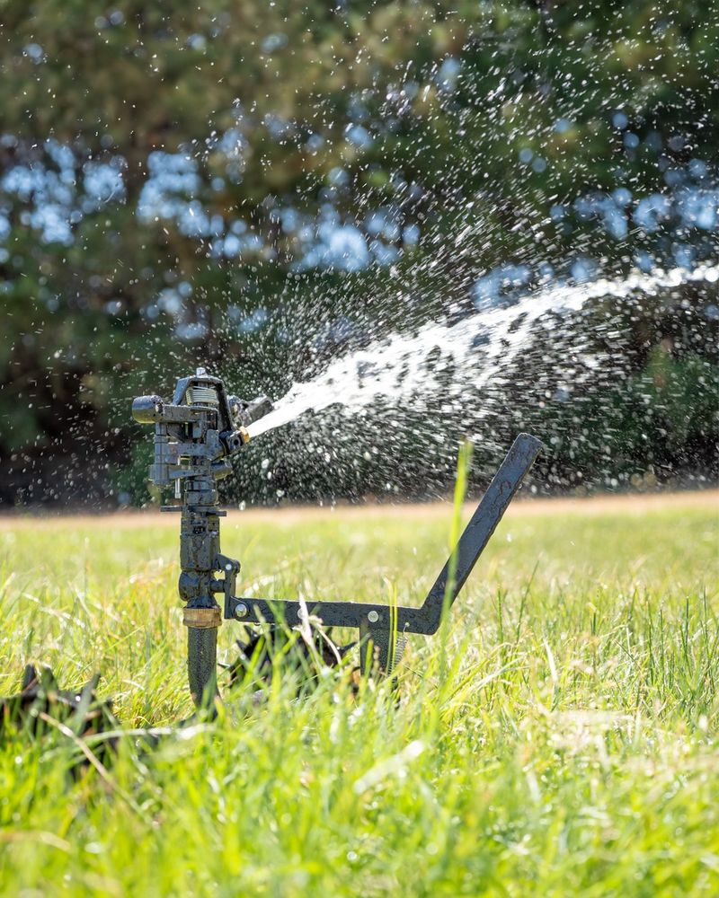 Use Motion-Activated Sprinklers