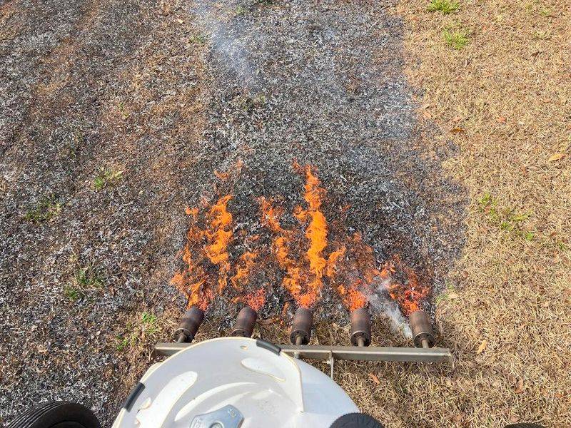 Employ Targeted Flame Weeding