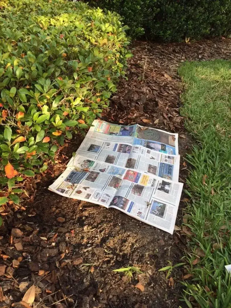 Apply Newspaper Under Mulch