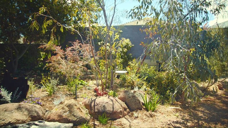 Group Plants by Water Needs