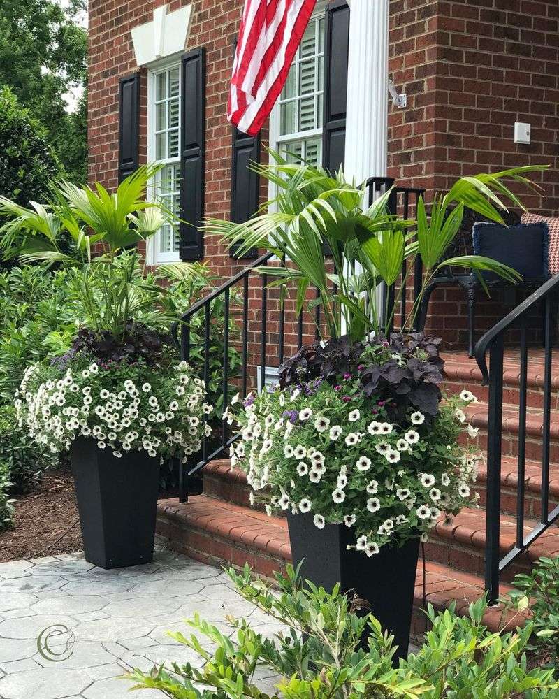 Add Potted Plant Arrangements